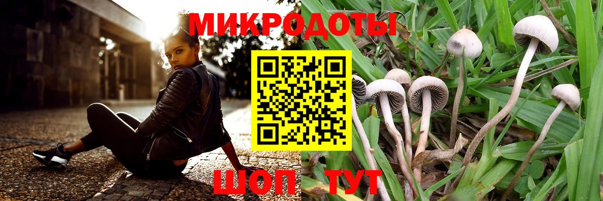 где купить наркоту  Вход с VPN  Ялта  Галлюциногенные грибы Magic Shrooms 